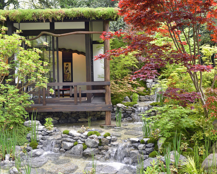 Jardin japonais miniature – un concentré du monde  Small japanese garden,  Miniature japanese garden, Miniature zen garden