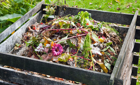 Compost: Recyclage des déchets au jardin - Mon Jardin Ideal