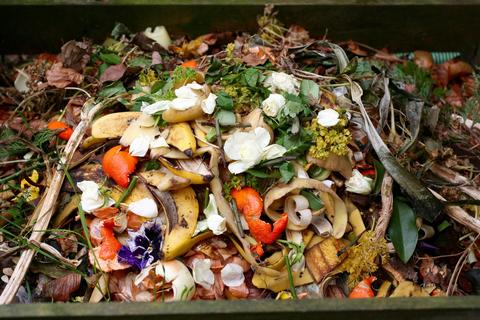 Ecorces de mandarines et autres déchets de cuisine sur le compost