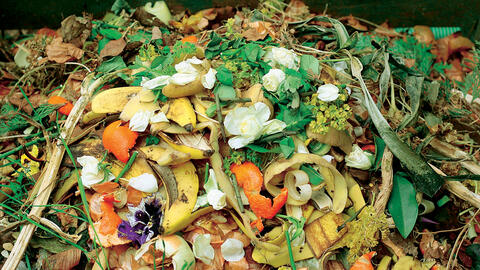 Compost biologique