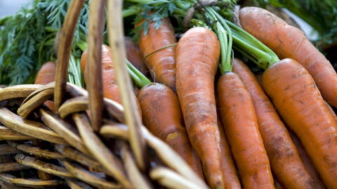 Corbeille de carottes