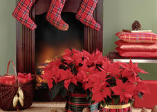 Etoiles de Noël cheminée chaussettes